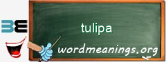 WordMeaning blackboard for tulipa